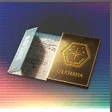 Справочник арсенала DL IV «DL Arsenal Handbook IV» ×6. Материал для оружия раздела Armed Conquest.